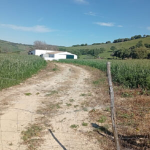 Finca urbana en Vejer. Cádiz.