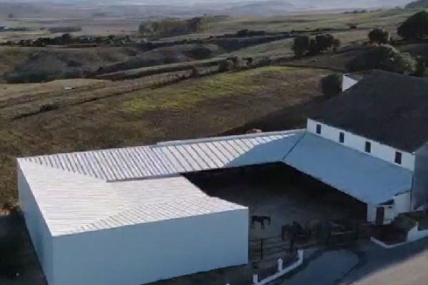 Finca urbana en Medina. Cádiz. - Imagen 4