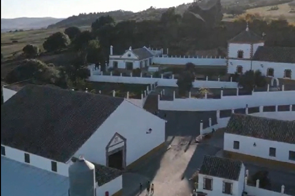 Finca urbana en Medina. Cádiz. - Imagen 5