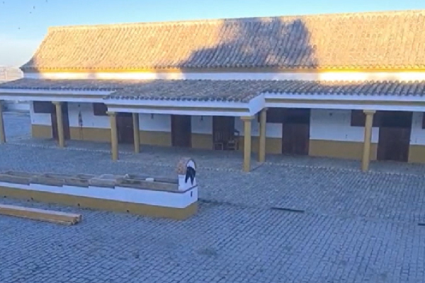 Finca urbana en Medina. Cádiz. - Imagen 9