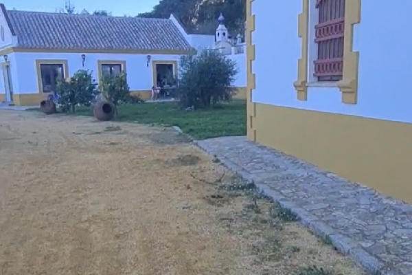 Finca urbana en Medina. Cádiz. - Imagen 11