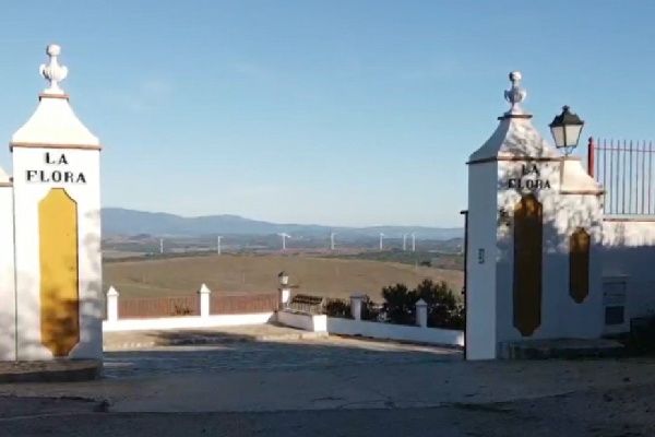 Finca urbana en Medina. Cádiz. - Imagen 2