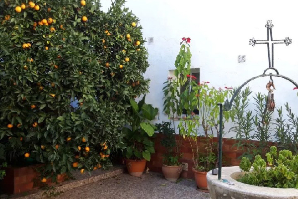 Casa en Jimena. Cádiz. - Imagen 23