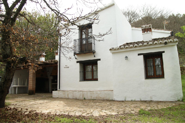 Finca con vivienda en Algatocín. Málaga. SE VENDE. - Imagen 3