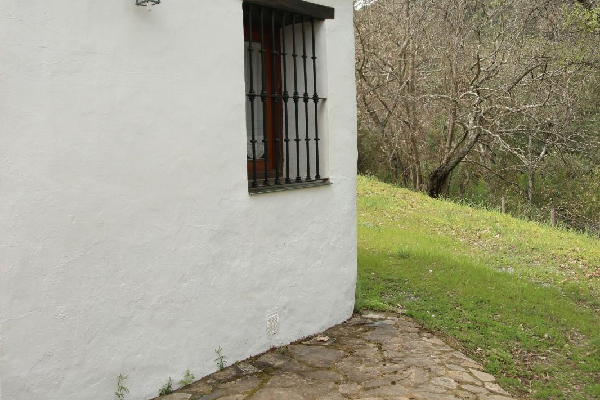 Finca con vivienda en Algatocín. Málaga. SE VENDE. - Imagen 4