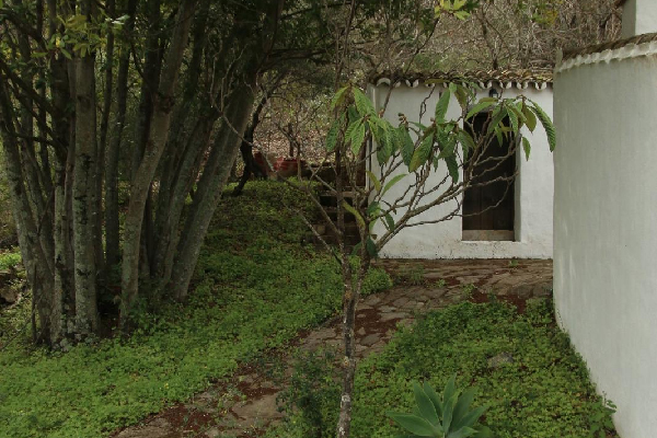 Finca con vivienda en Algatocín. Málaga. SE VENDE. - Imagen 5