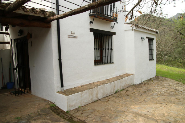 Finca con vivienda en Algatocín. Málaga. SE VENDE. - Imagen 6
