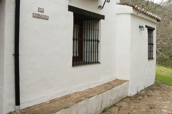 Finca con vivienda en Algatocín. Málaga. SE VENDE. - Imagen 9