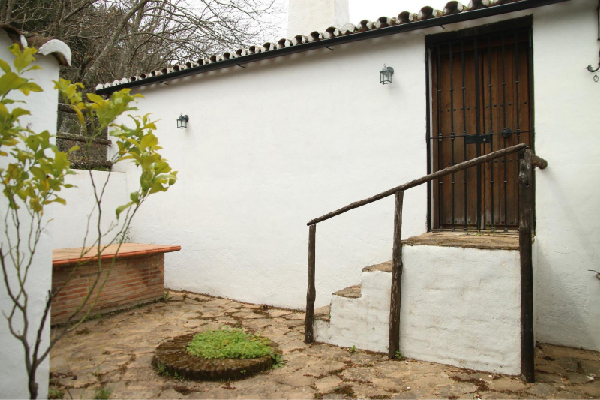 Finca con vivienda en Algatocín. Málaga. SE VENDE. - Imagen 10