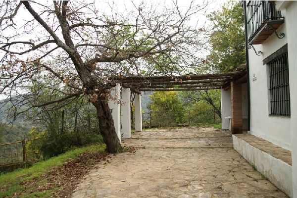 Finca con vivienda en Algatocín. Málaga. SE VENDE. - Imagen 12