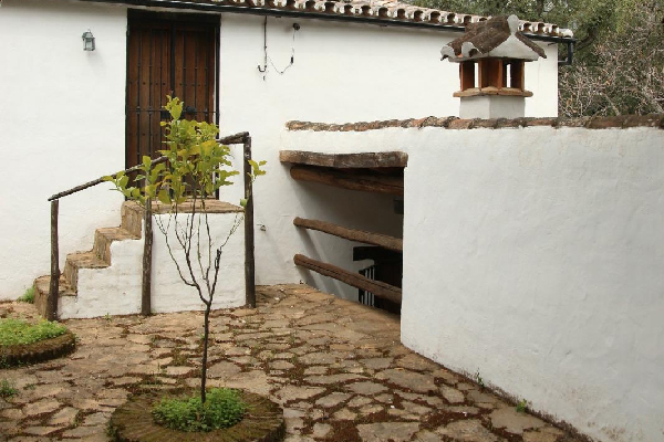 Finca con vivienda en Algatocín. Málaga. SE VENDE. - Imagen 13