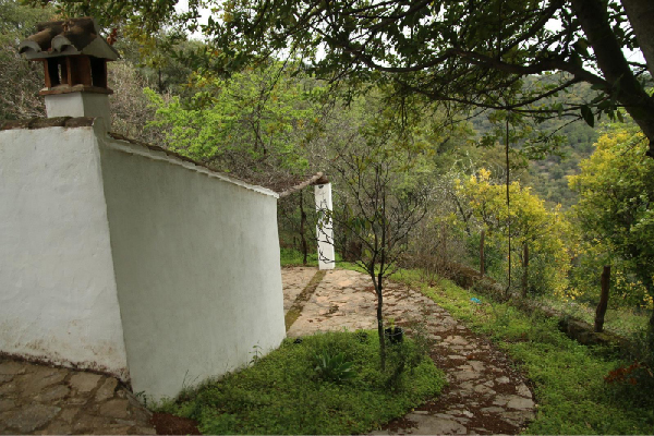 Finca con vivienda en Algatocín. Málaga. SE VENDE. - Imagen 14