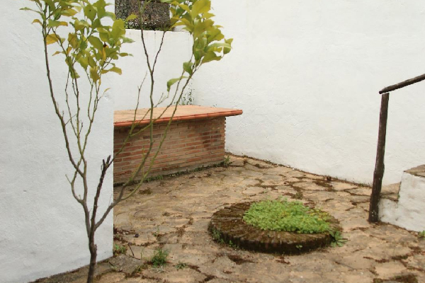 Finca con vivienda en Algatocín. Málaga. SE VENDE. - Imagen 15