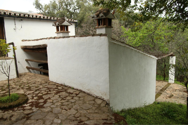 Finca con vivienda en Algatocín. Málaga. SE VENDE. - Imagen 16