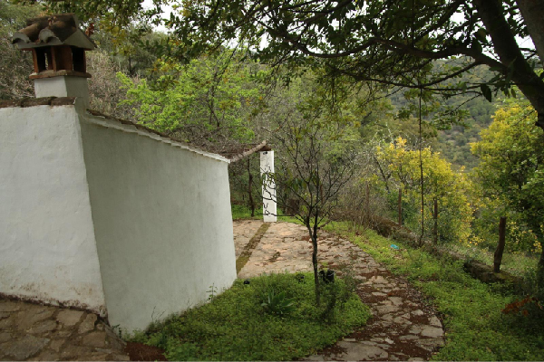 Finca con vivienda en Algatocín. Málaga. SE VENDE. - Imagen 17