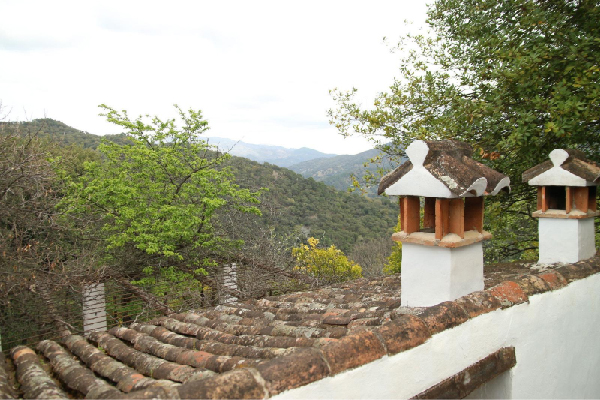 Finca con vivienda en Algatocín. Málaga. SE VENDE. - Imagen 20