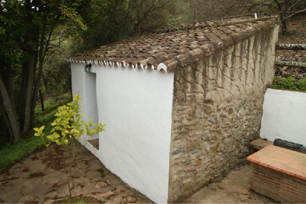 Finca con vivienda en Algatocín. Málaga. SE VENDE. - Imagen 25