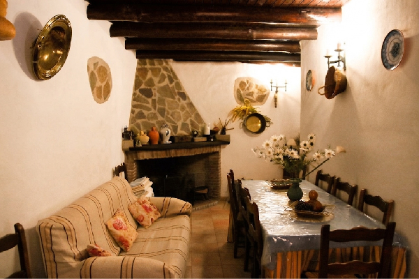 Finca con vivienda en Algatocín. Málaga. SE VENDE. - Imagen 32
