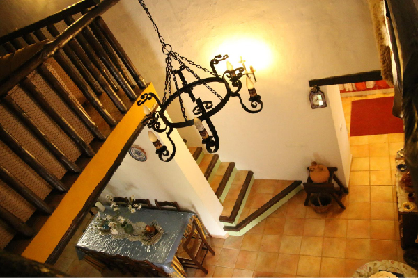 Finca con vivienda en Algatocín. Málaga. SE VENDE. - Imagen 33