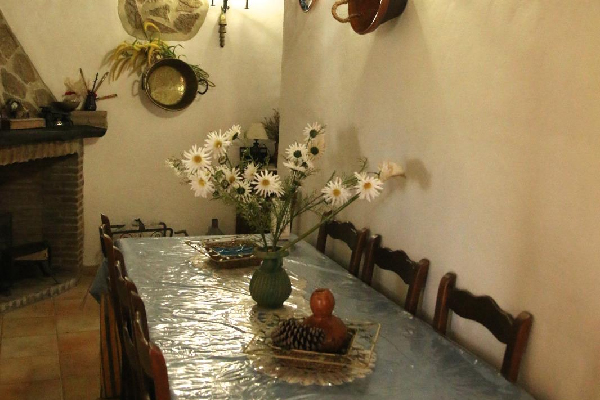 Finca con vivienda en Algatocín. Málaga. SE VENDE. - Imagen 52