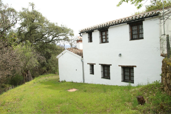 Finca con vivienda en Algatocín. Málaga. SE VENDE. - Imagen 53