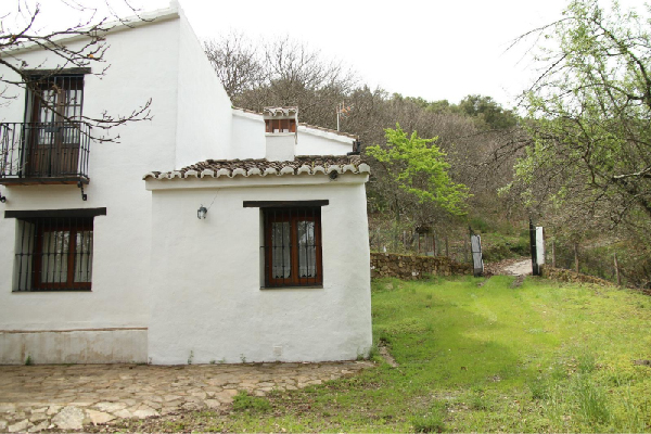 Finca con vivienda en Algatocín. Málaga. SE VENDE. - Imagen 2