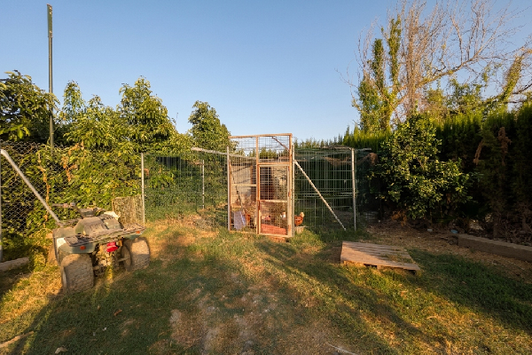 Finca en Tesorillo, Cádiz. SE VENDE - Imagen 19