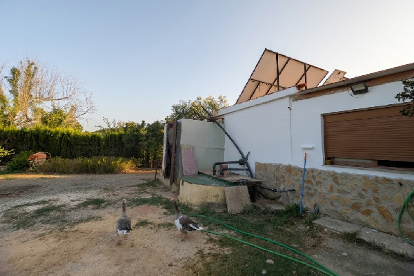 Finca en Tesorillo, Cádiz. SE VENDE - Imagen 4