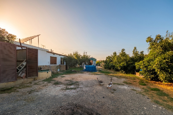 Finca en Tesorillo, Cádiz. SE VENDE - Imagen 2