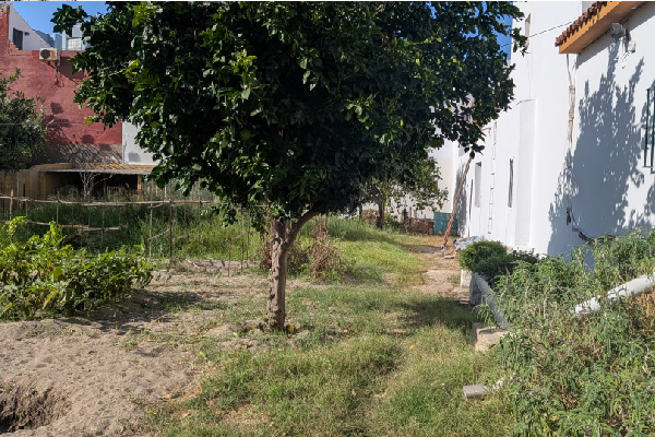 Complejo residencial en La Línea, zona Los Olivos. SE VENDE. - Imagen 9