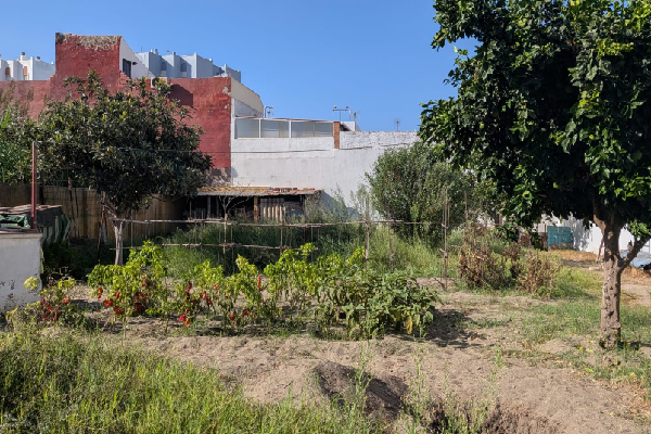 Complejo residencial en La Línea, zona Los Olivos. SE VENDE. - Imagen 12
